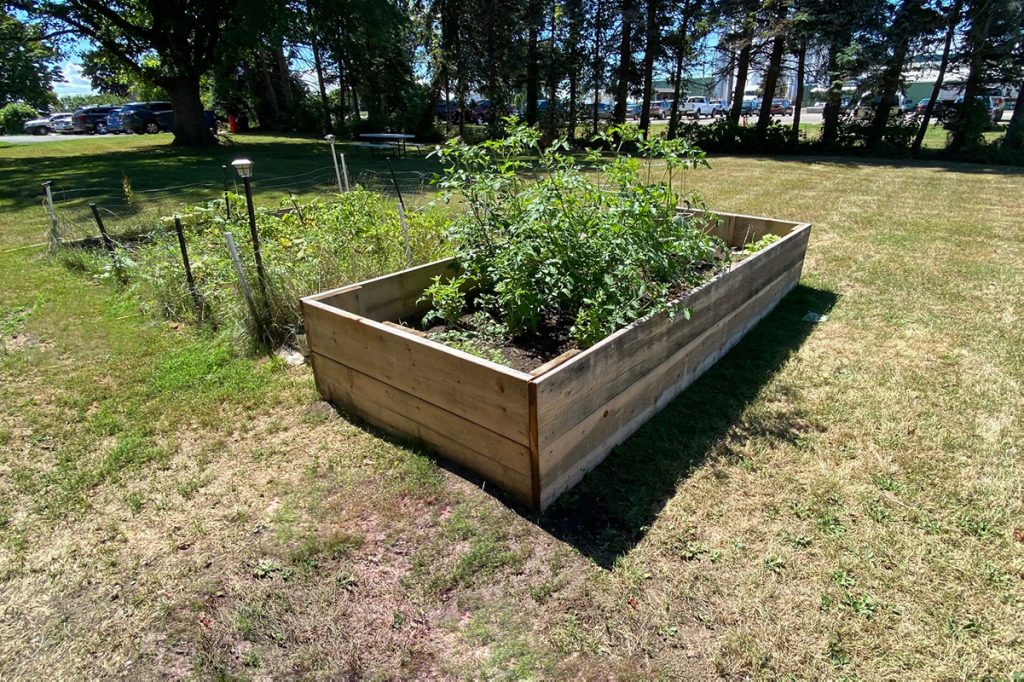 Somerset House's raised garden bed