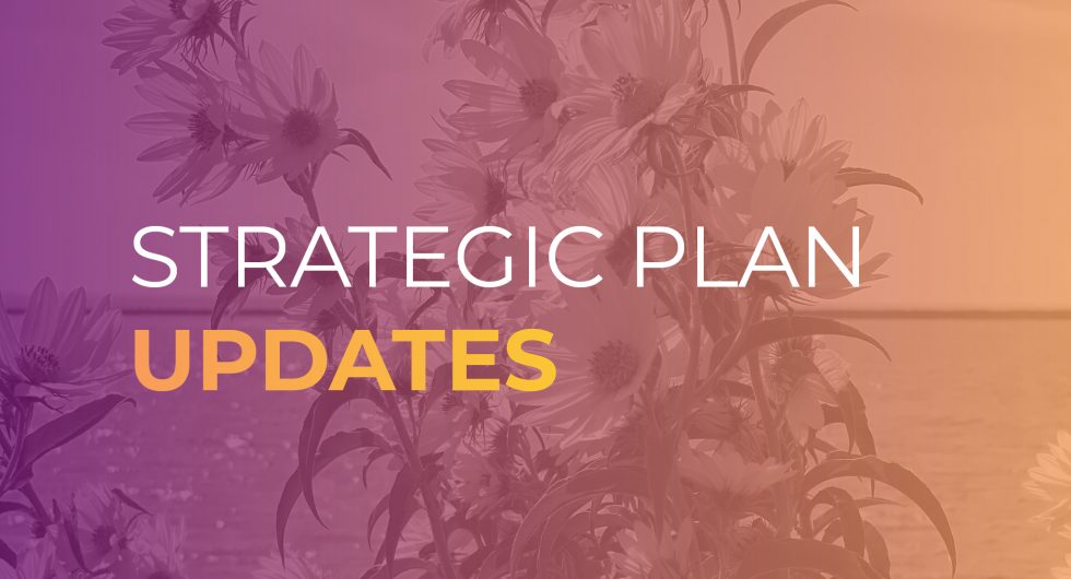 Strategic Plan Updates